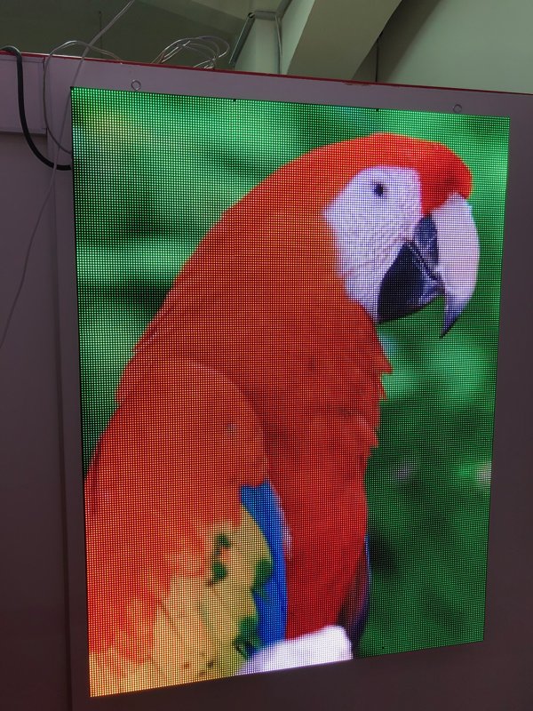 P4 LED video sign (Height - 144 cm). Prices from